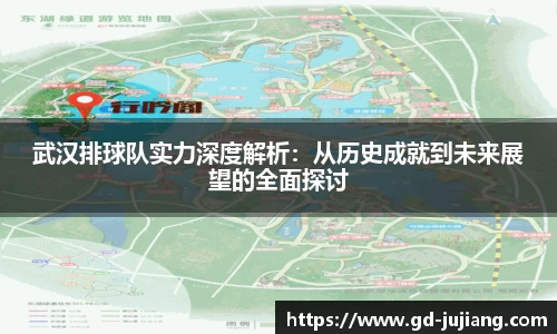 武汉排球队实力深度解析：从历史成就到未来展望的全面探讨